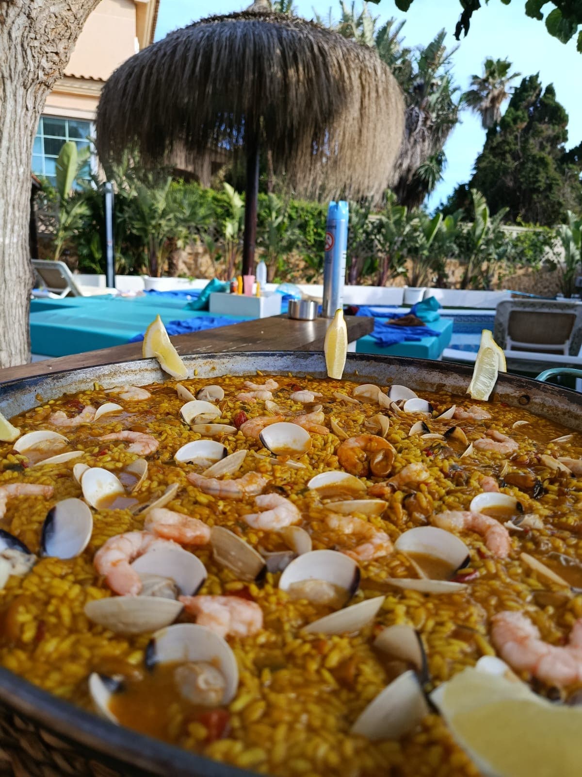 Paellas y Arroces